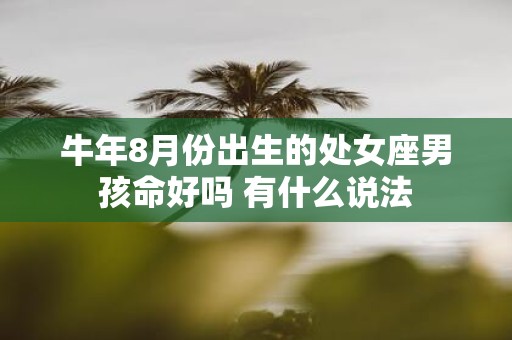 牛年8月份出生的处女座男孩命好吗 有什么说法