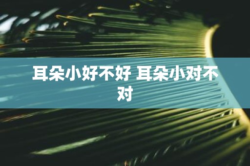 耳朵小好不好 耳朵小对不对