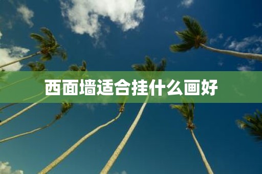 西面墙适合挂什么画好