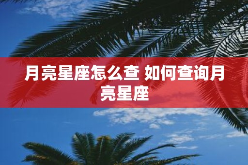 月亮星座怎么查 如何查询月亮星座