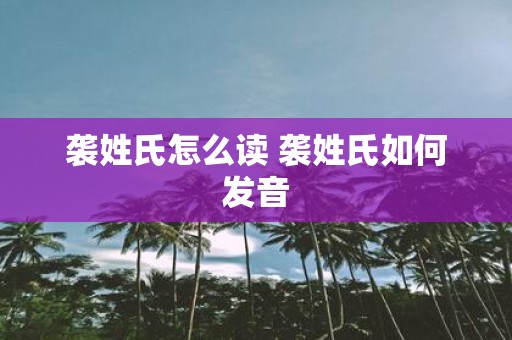 袭姓氏怎么读 袭姓氏如何发音