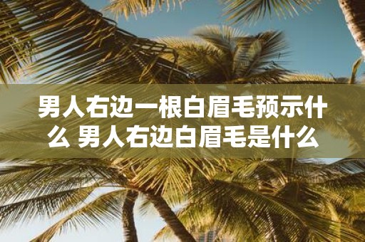 男人右边一根白眉毛预示什么 男人右边白眉毛是什么预兆