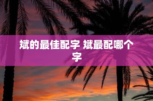 斌的最佳配字 斌最配哪个字