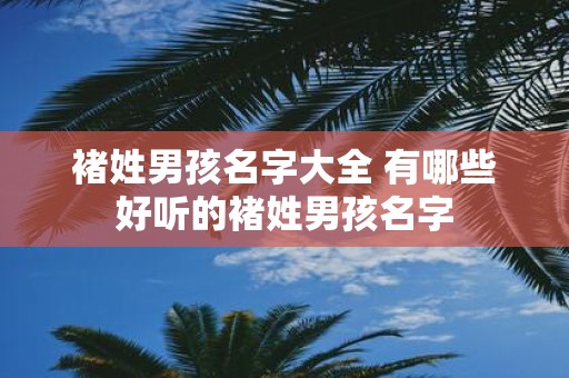 褚姓男孩名字大全 有哪些好听的褚姓男孩名字