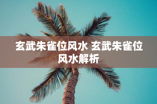 玄武朱雀位风水 玄武朱雀位风水解析