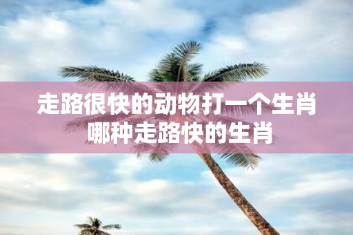 走路很快的动物打一个生肖 哪种走路快的生肖