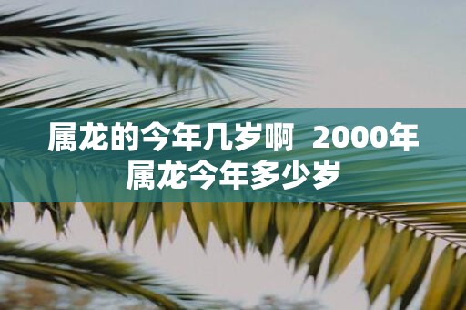 属龙的今年几岁啊 2000年属龙今年多少岁