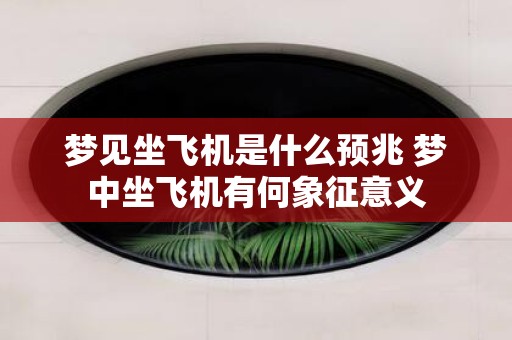 梦见坐飞机是什么预兆 梦中坐飞机有何象征意义