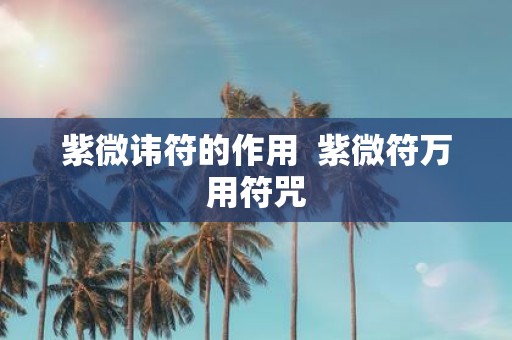 紫微讳符的作用 紫微符万用符咒