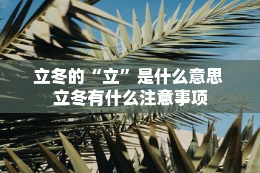 立冬的“立”是什么意思 立冬有什么注意事项