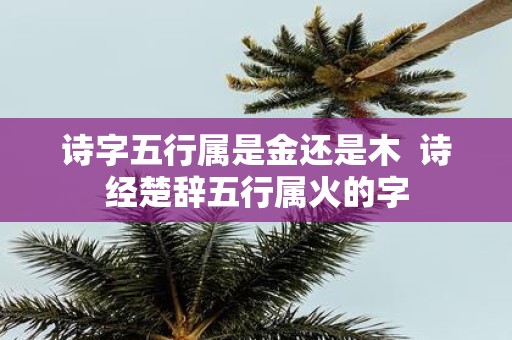 诗字五行属是金还是木 诗经楚辞五行属火的字