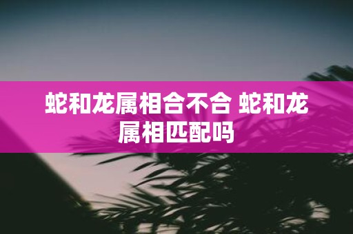 蛇和龙属相合不合 蛇和龙属相匹配吗