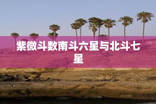 紫微斗数南斗六星与北斗七星