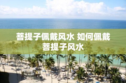 菩提子佩戴风水 如何佩戴菩提子风水