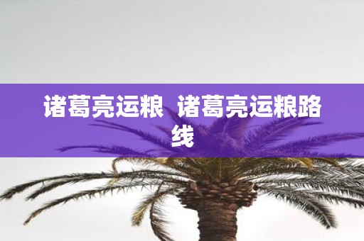 诸葛亮运粮  诸葛亮运粮路线