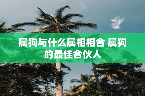 属狗与什么属相相合 属狗的最佳合伙人