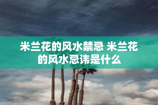 米兰花的风水禁忌 米兰花的风水忌讳是什么