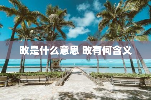 畋是什么意思 畋有何含义
