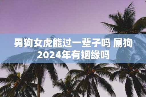 男狗女虎能过一辈子吗 属狗2025年有姻缘吗