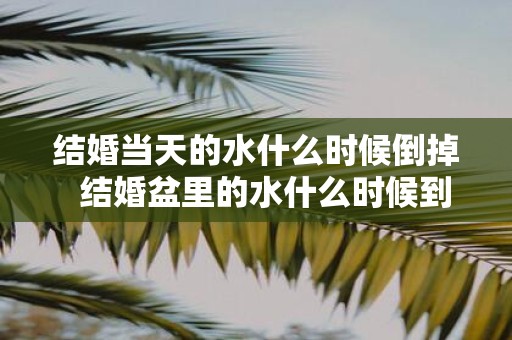 结婚当天的水什么时候倒掉 结婚盆里的水什么时候到出去