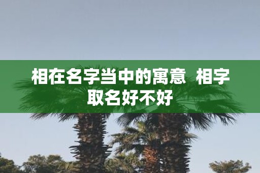 相在名字当中的寓意 相字取名好不好