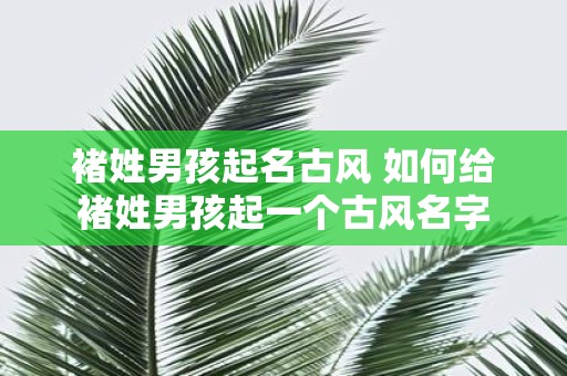 褚姓男孩起名古风 如何给褚姓男孩起一个古风名字