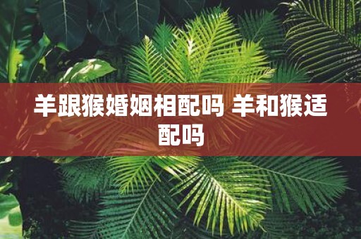 羊跟猴婚姻相配吗 羊和猴适配吗