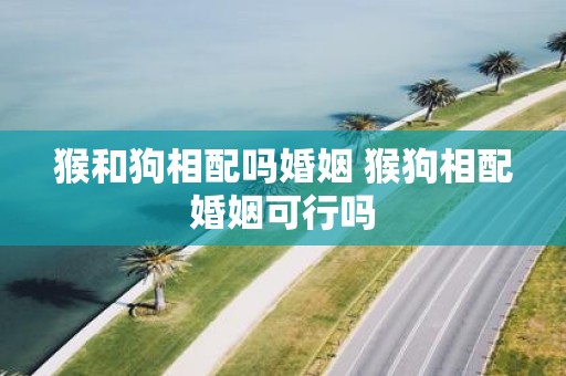 猴和狗相配吗婚姻 猴狗相配婚姻可行吗