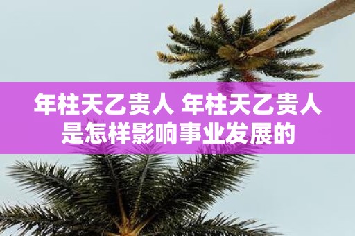 年柱天乙贵人 年柱天乙贵人是怎样影响事业发展的