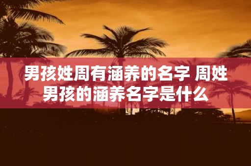 男孩姓周有涵养的名字 周姓男孩的涵养名字是什么
