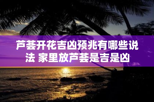 芦荟开花吉凶预兆有哪些说法 家里放芦荟是吉是凶