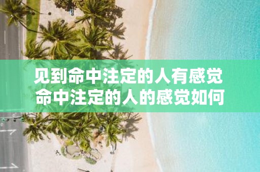见到命中注定的人有感觉 命中注定的人的感觉如何