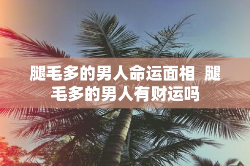 腿毛多的男人命运面相 腿毛多的男人有财运吗