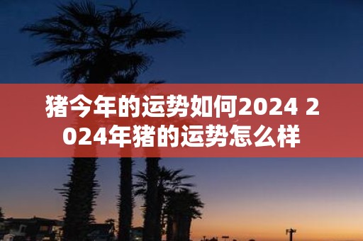 猪今年的运势如何2025 2025年猪的运势怎么样