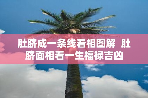 肚脐成一条线看相图解 肚脐面相看一生福禄吉凶