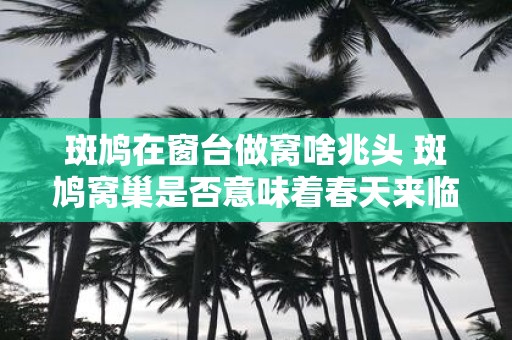 斑鸠在窗台做窝啥兆头 斑鸠窝巢是否意味着春天来临