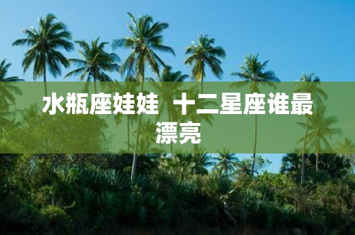水瓶座娃娃 十二星座谁最漂亮