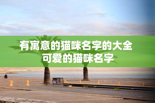 有寓意的猫咪名字的大全 可爱的猫咪名字