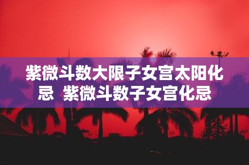 紫微斗数大限子女宫太阳化忌 紫微斗数子女宫化忌