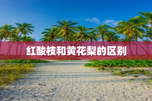 红酸枝和黄花梨的区别