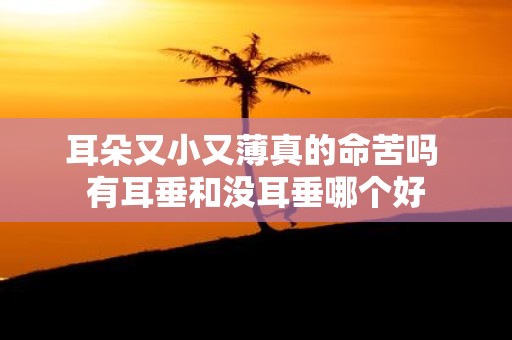耳朵又小又薄真的命苦吗 有耳垂和没耳垂哪个好