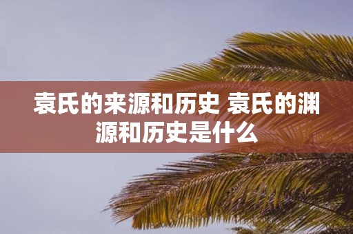 袁氏的来源和历史 袁氏的渊源和历史是什么