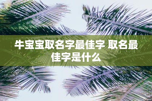 牛宝宝取名字最佳字 取名最佳字是什么