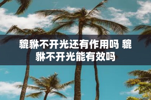 貔貅不开光还有作用吗 貔貅不开光能有效吗