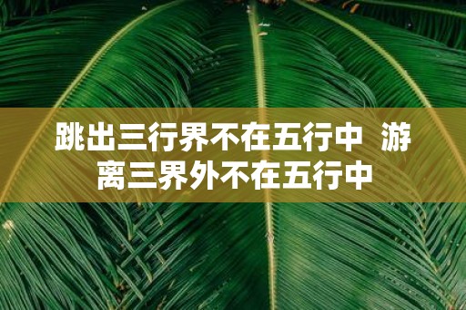 跳出三行界不在五行中 游离三界外不在五行中