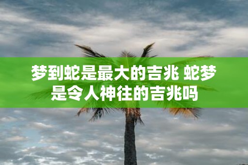 梦到蛇是最大的吉兆 蛇梦是令人神往的吉兆吗