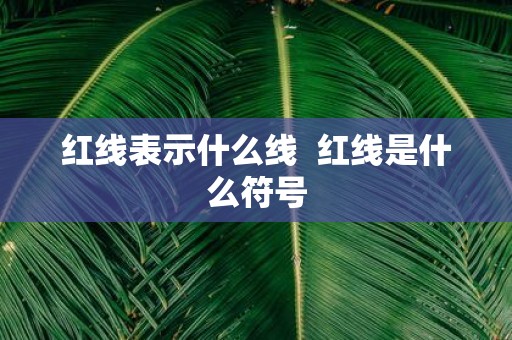 红线表示什么线 红线是什么符号 红线表示什么线 红线是什么符号