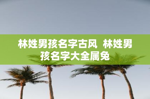 林姓男孩名字古风 林姓男孩名字大全属兔