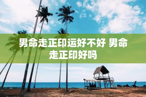 男命走正印运好不好 男命走正印好吗