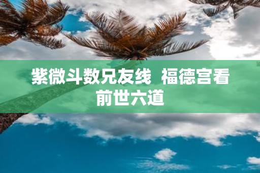紫微斗数兄友线 福德宫看前世六道